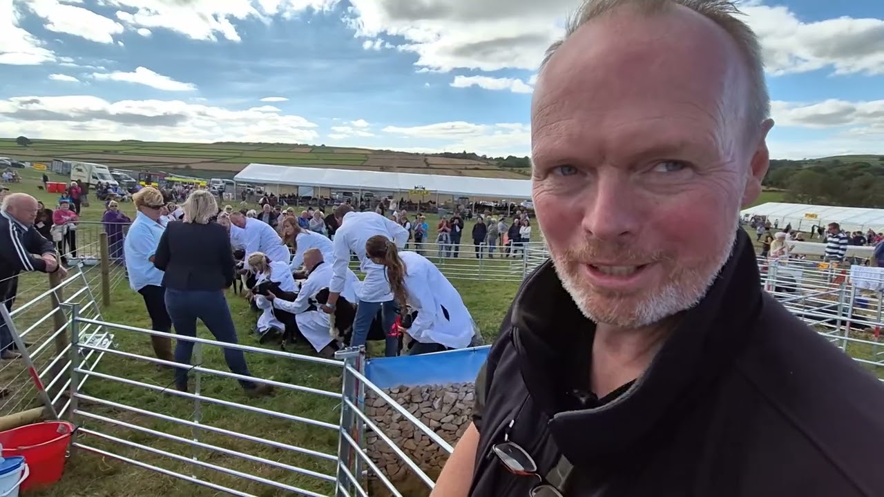 Farmer Roger's Sheep Face the Judges!