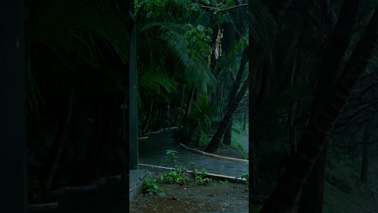#nature #peace #gujarat #love #rain