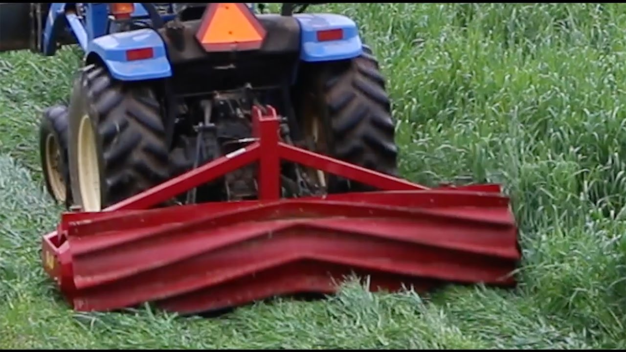 CU Organic Farm Crimping Cover Crop Study