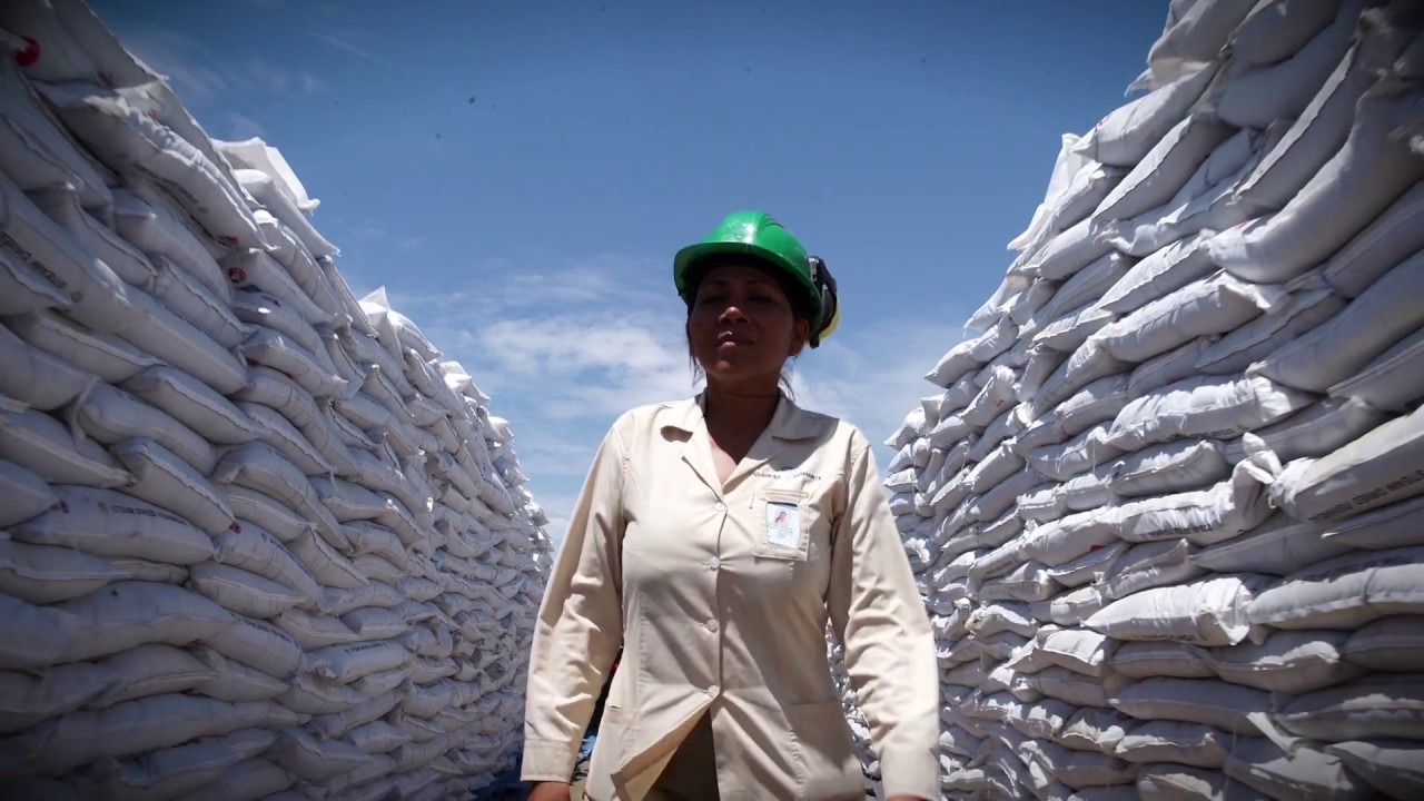 In Peru, Fishing Less Anchoveta Pays Off