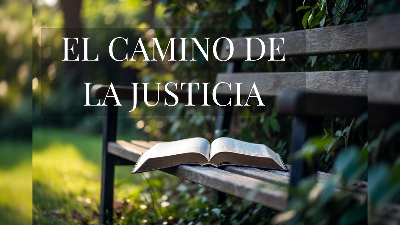 Proverbios 11 | El camino de la justicia | Luz en la Palabra