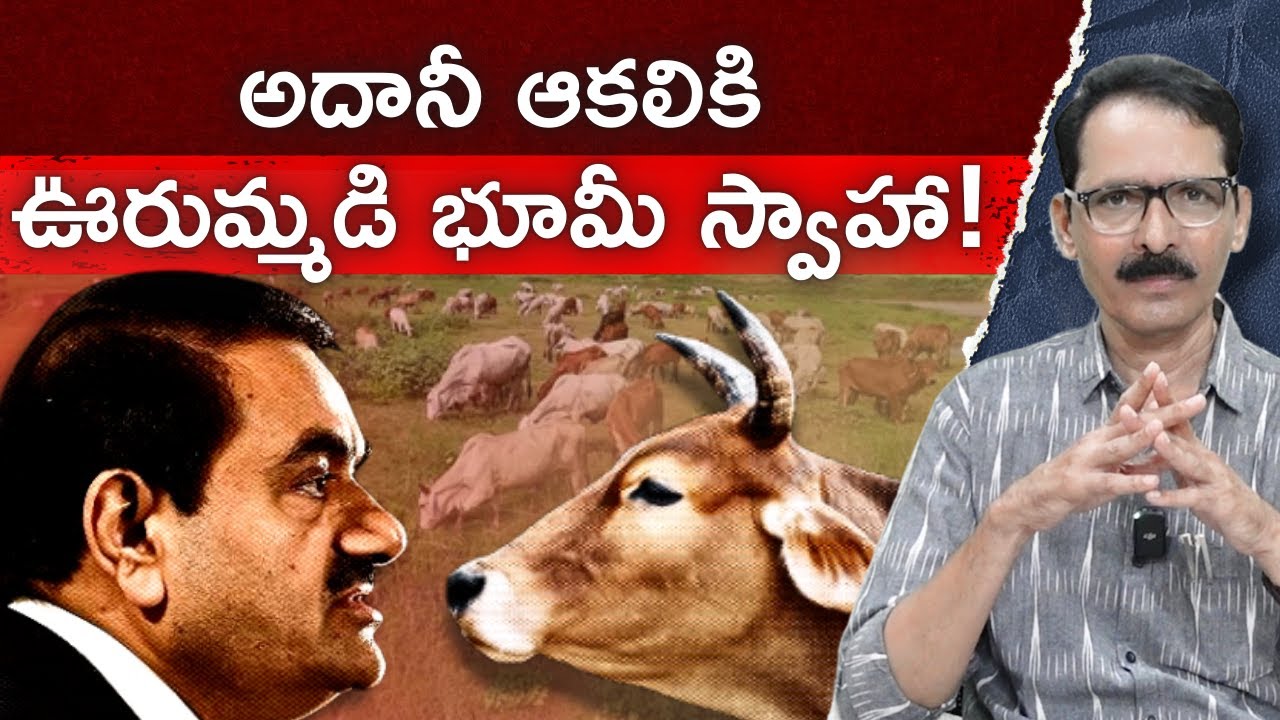 Grazing Land Ends Up With Adani | అదానీ ఆకలికి ఊరుమ్మడి భూమీ స్వాహా! | N Venugopal #cronycapitalism