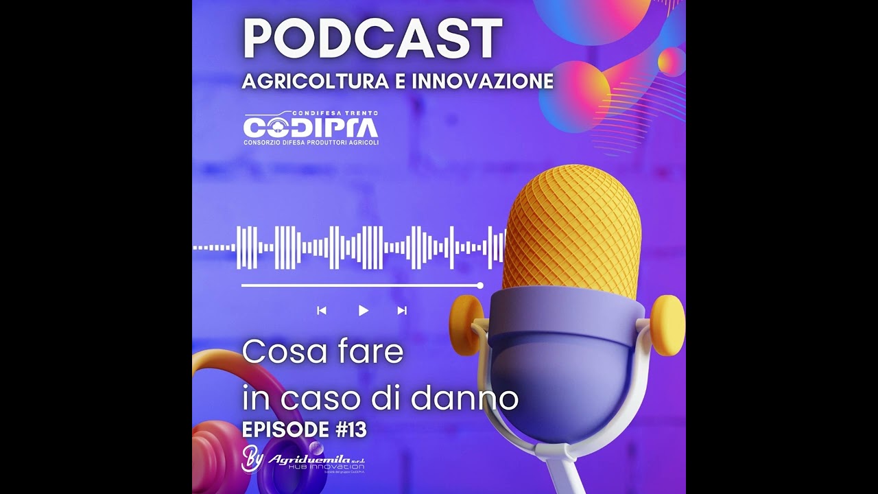 Episodio 13 | Cosa fare in caso di danni