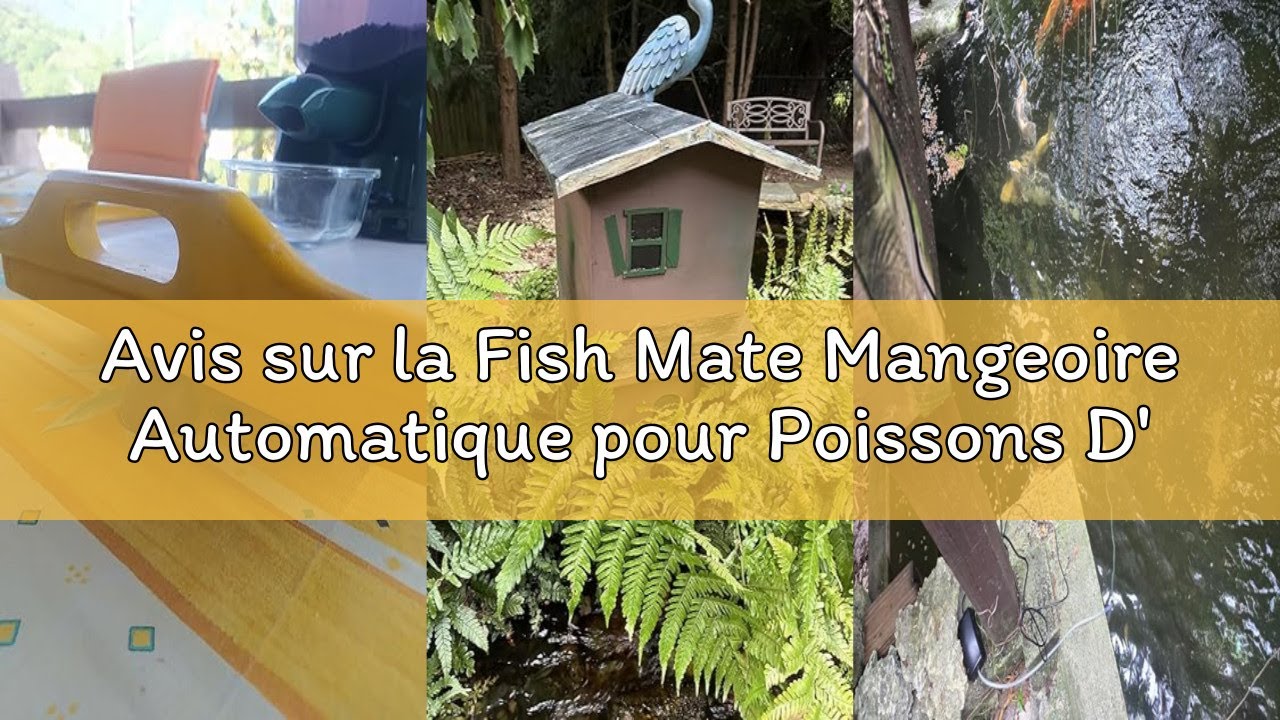 Avis sur la Fish Mate Mangeoire Automatique pour Poissons D'étang De 7 litres (P7000)