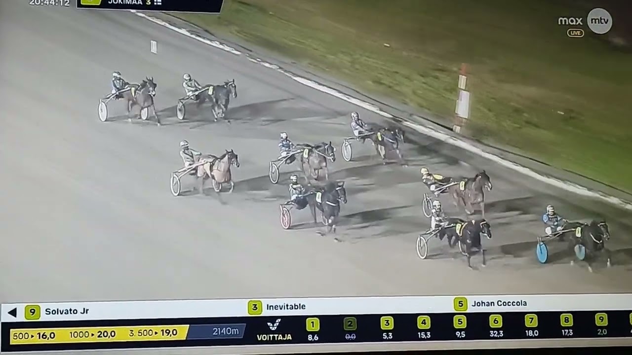 Finsk trav Solvato Jr  Jokimaa