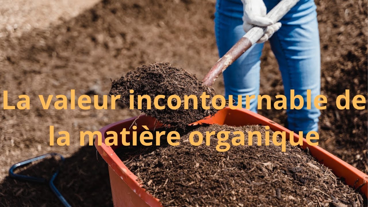 8 rôles essentiels de la matière organique à savoir pour réussir en agriculture biologique