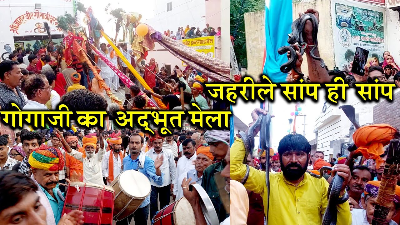 गले-हाथों में जहरीले सांप ही सांप हजारों की भीड़ ढोल ताशों पे नृत्य/ गोगाजी का अद्भुत मेला Ratangarh