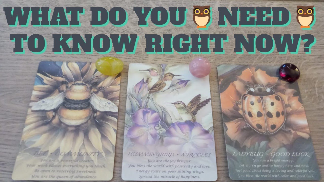 🦉The Most🪶IMPORTANT🪶Thing You Need To Know About Them and The Connection Right Now?🦉Pick a Card.❤️
