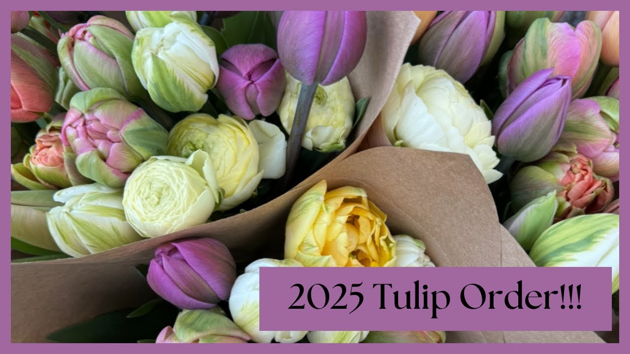 Мой заказ тюльпанов на 2025 год! 🌷Потрясающие новые сорта! Нет, ещё не слишком рано.