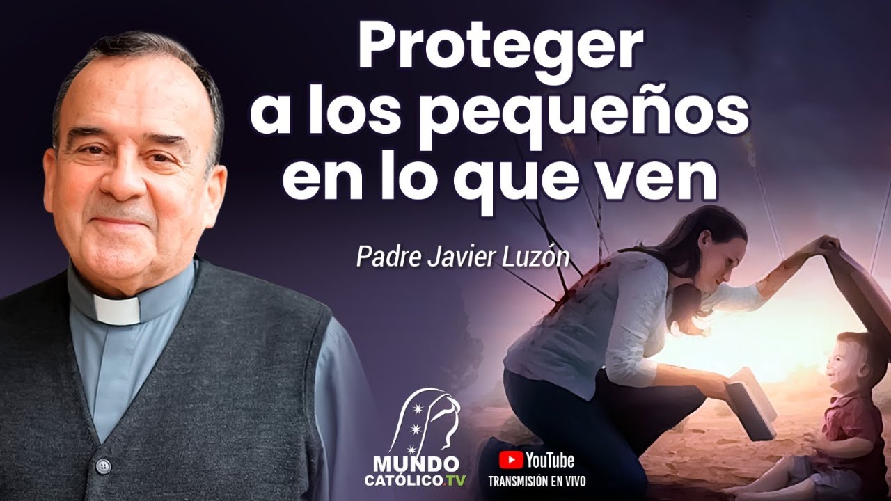 Proteger a los pequeños en lo que ven, P. Javier Luzón.