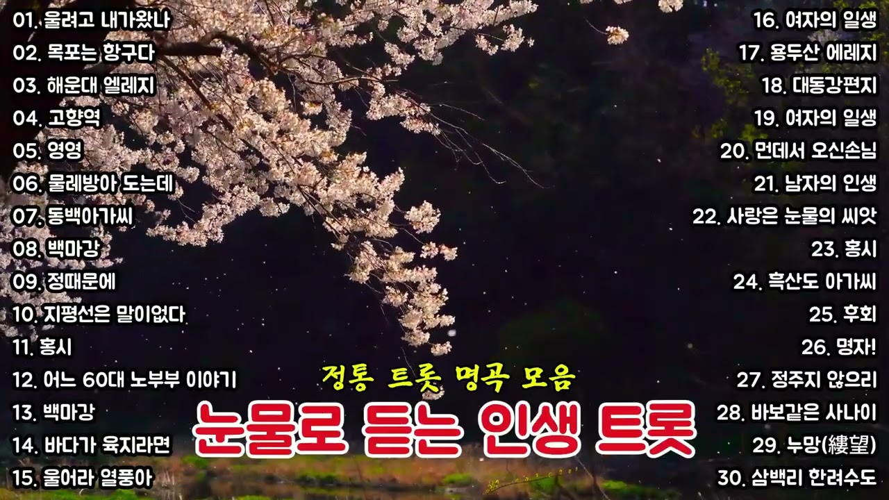 그 시절 가슴을 울린 노래들 │ 정통 트롯 명곡 모음 홍시·여자의 일생·동숙의 노래·노부부 이야기 외 인생 트롯 연속듣기