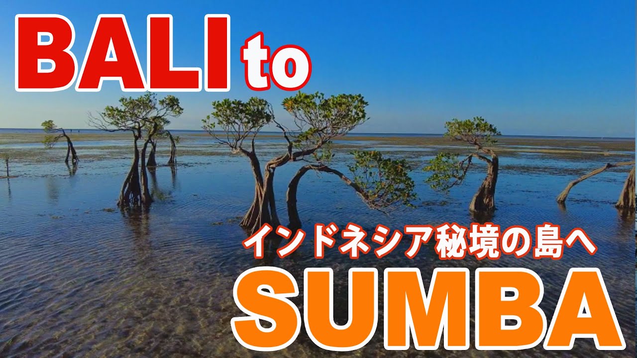 #4 インドネシアの秘境スンバ島！たった一人の日本人島民とは?