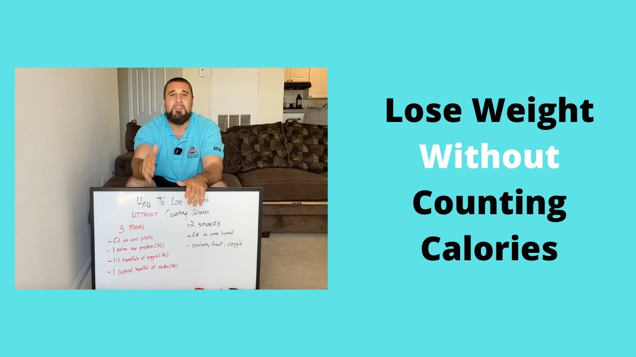 Weight Loss Without Counting Calories I Diet Plan To Lose Weight