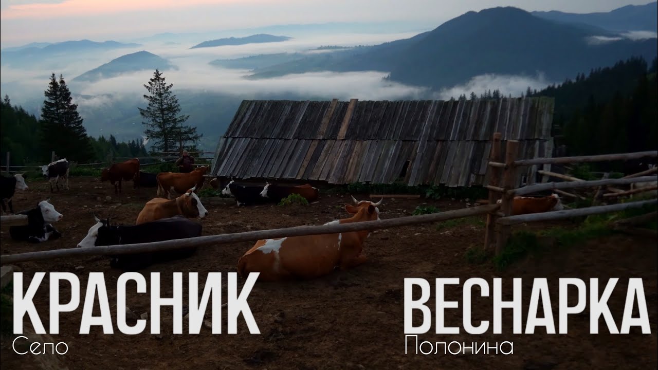 Експедиція в село Красник: пророчі пісні та полонина Веснарка.