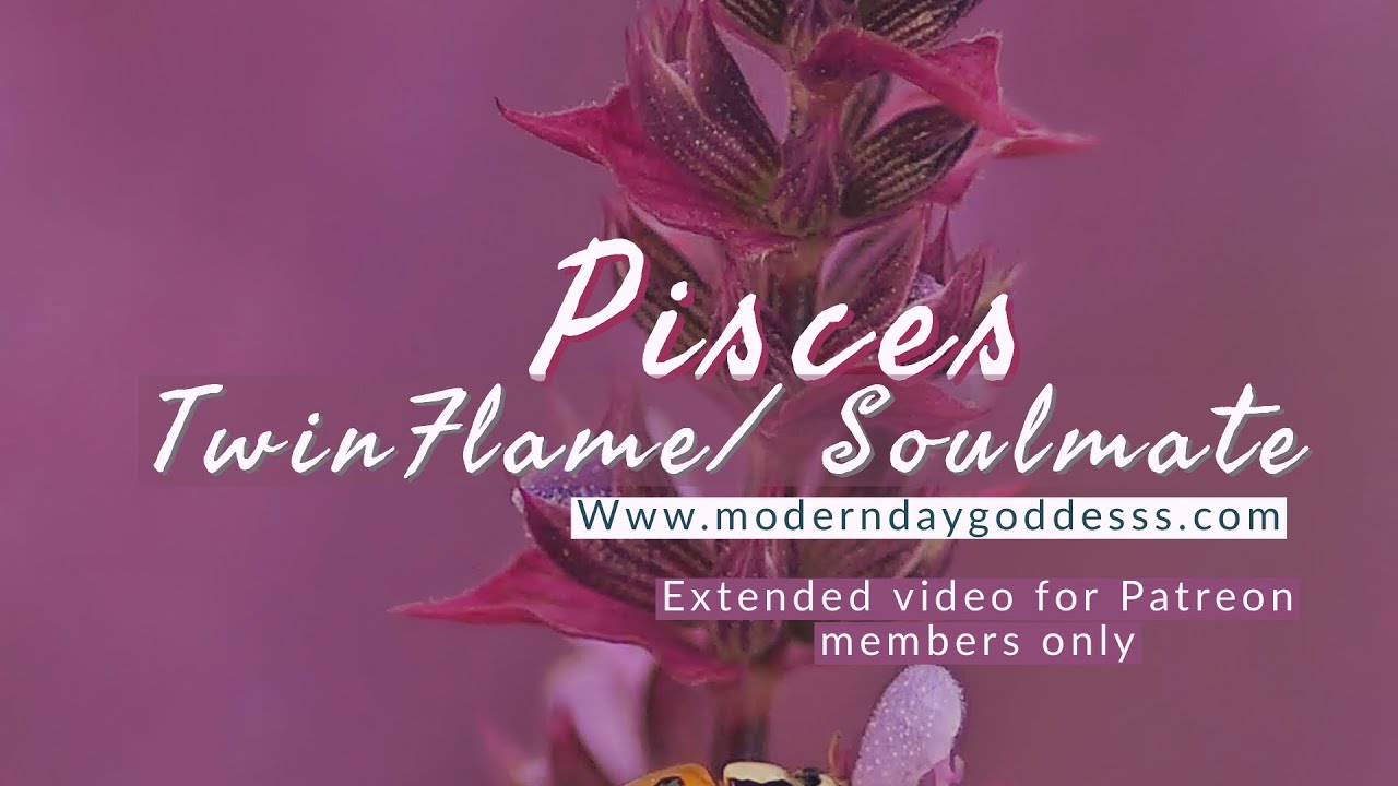 Pisces TwinFlame | Soulmate Reading: You&rsquo;re Procrastinating This Change...In Love&hearts;️🤍