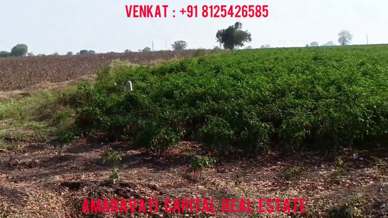 Amaravati capital Ponnekallu to 58 centlu ravela road commercial land