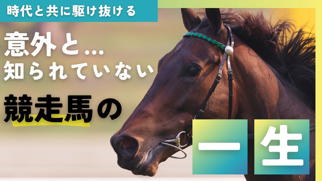 【引退後はどこに？】意外と知られていない競走馬の一生を丁寧に解説
