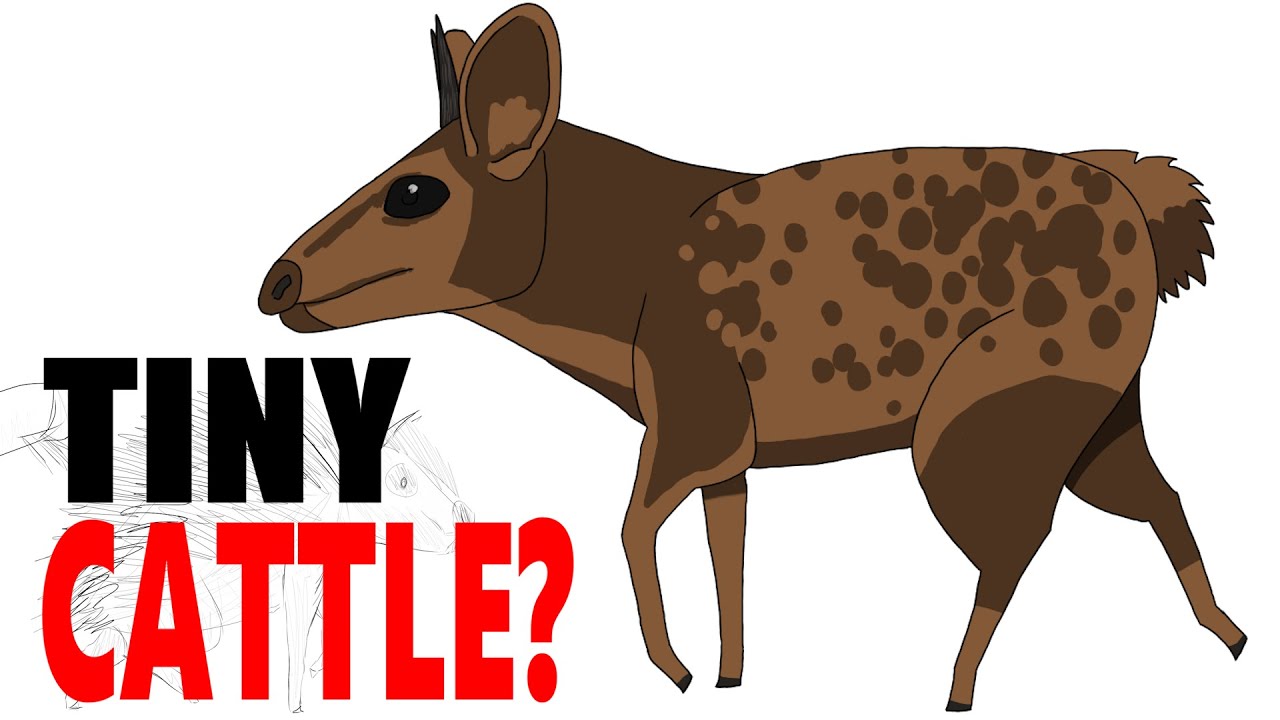 КОРОВЫ СТАНУТ МАЛЕНЬКИМИ? - Cattle Seedworld