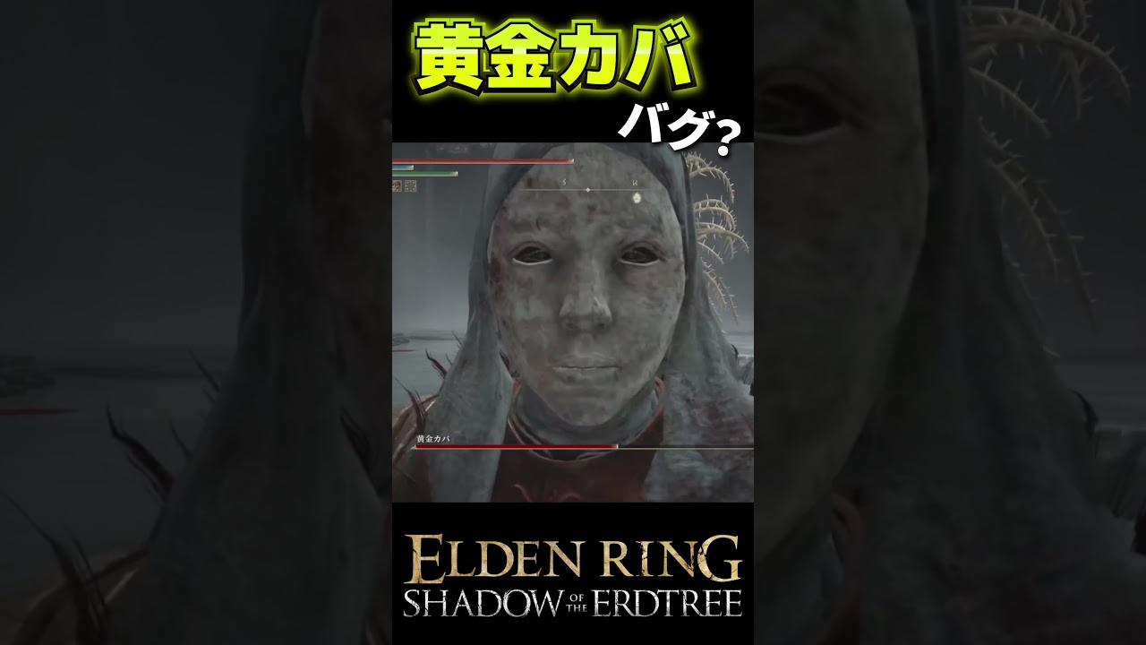 【エルデンリング DLC】 黄金カバと見つめ合う謎のバグ 【SHADOW OF THE ERDTREE】 #shorts