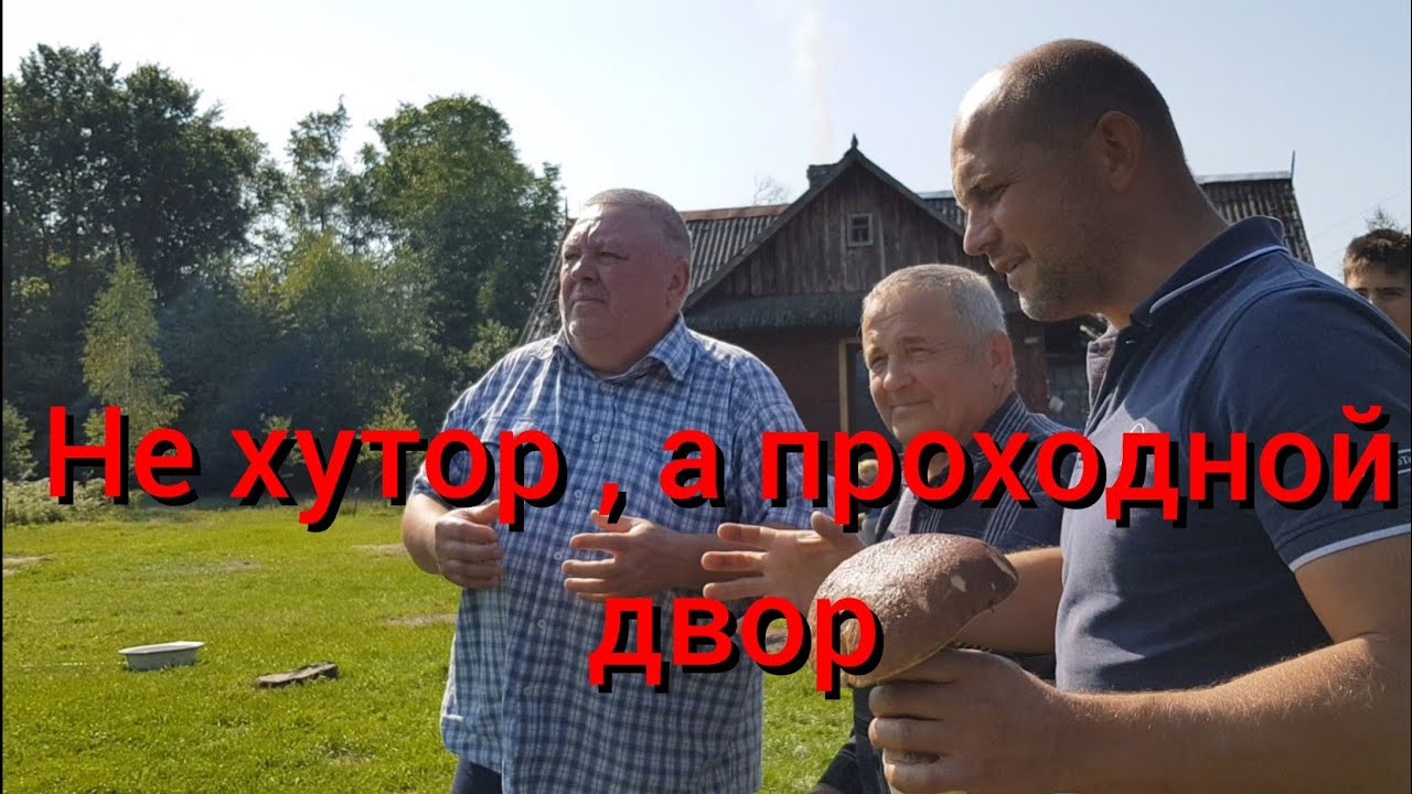 В этот день кого только на хуторе не было. Даже тёща наконец-то доехала. Грибы в лесу собрали гостей