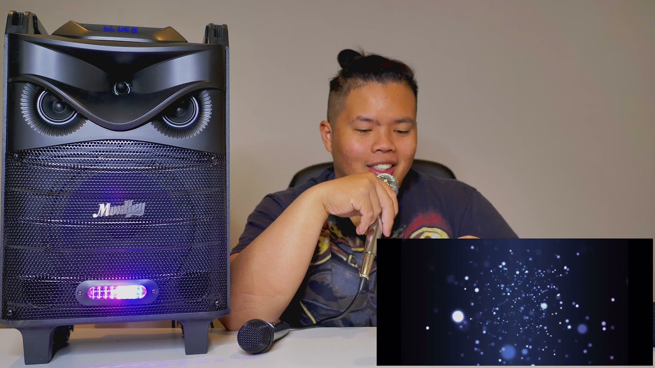 Karaoke On the GO! Bluetooth, Mcm-3 Mic + LED Light Show by Moukey Trolley Speakers Review