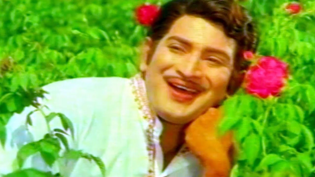 Gajula Kishtayya Songs - Navvulu Ruvve - Krishna, Zarina Wahab - HD