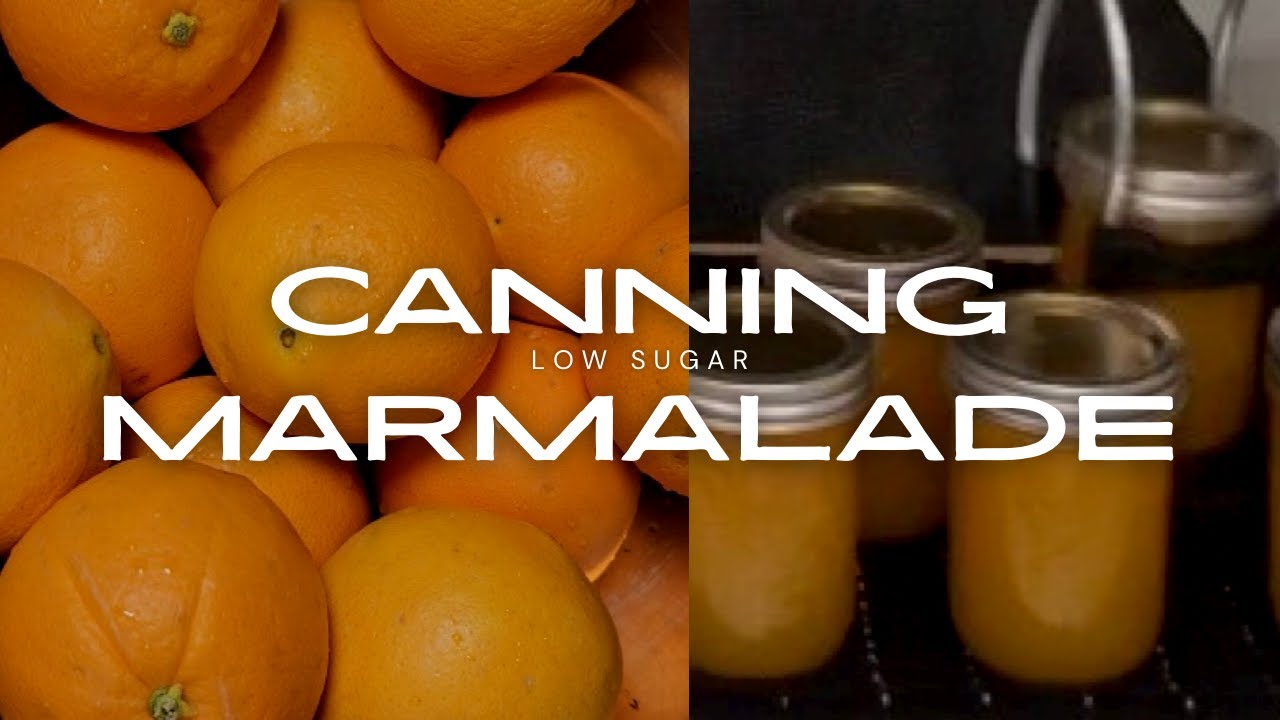 Lower Sugar Orange Marmalade Using Pomona's Pectin