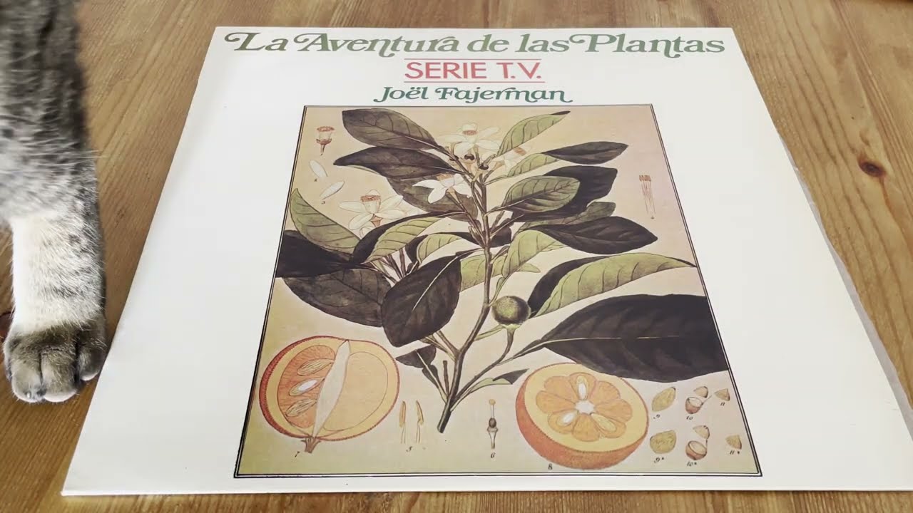 Joël Fajerman – La Aventura De Las Plantas.