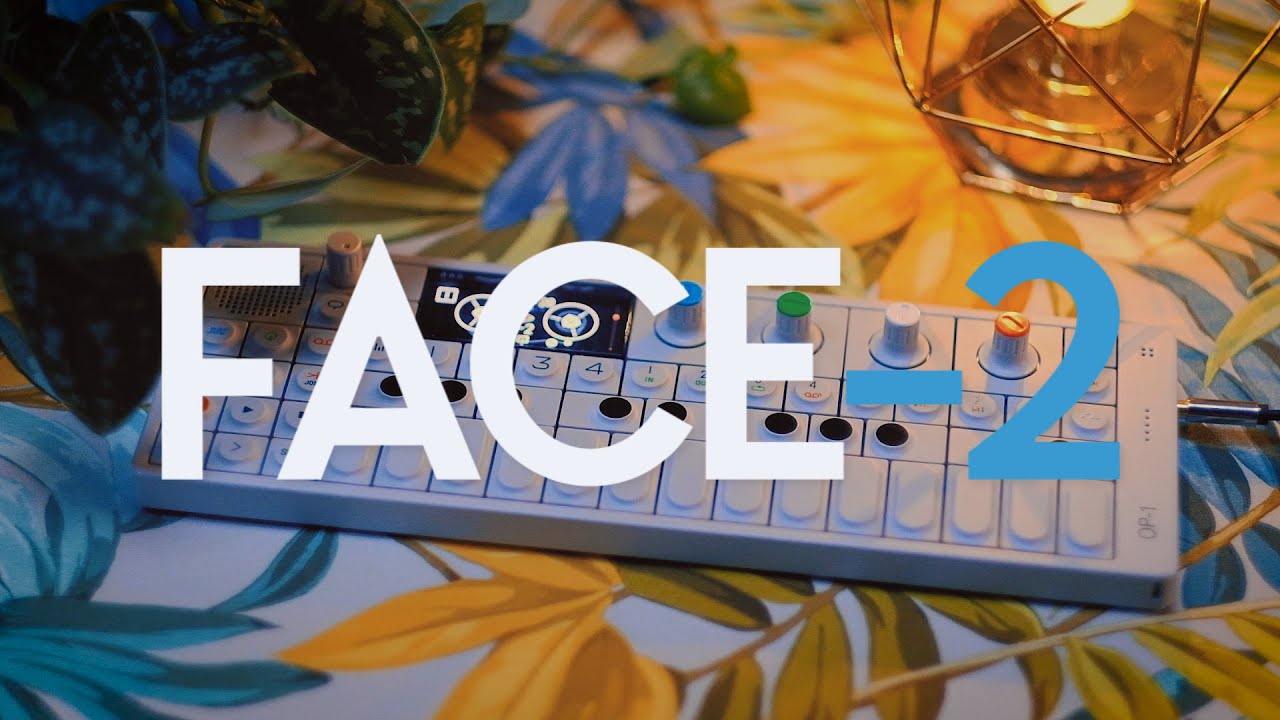 Teenage Engineering OP-1 - Face -2
