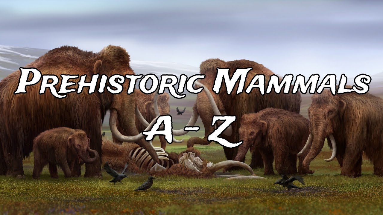 Prehistoric Mammals A - Z