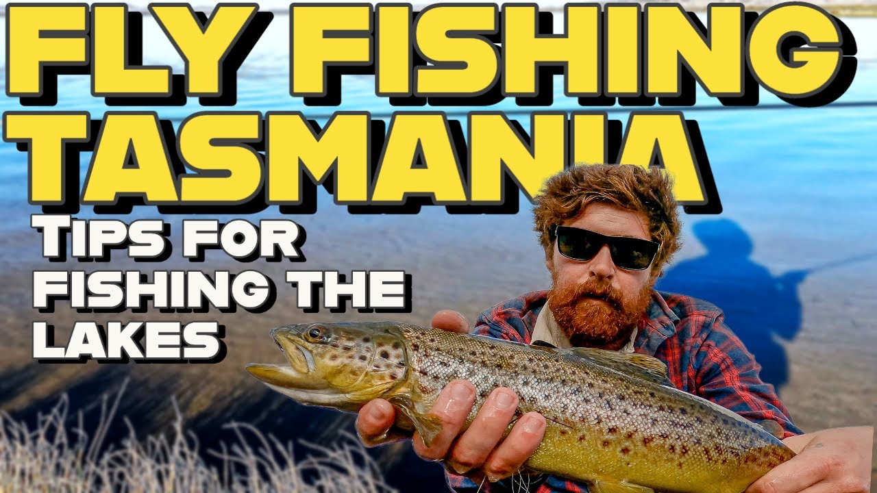 FLY FISHING FOR TROUT | TIPS AND ADVICE FOR THE TASMANIAN HIGHLANDS