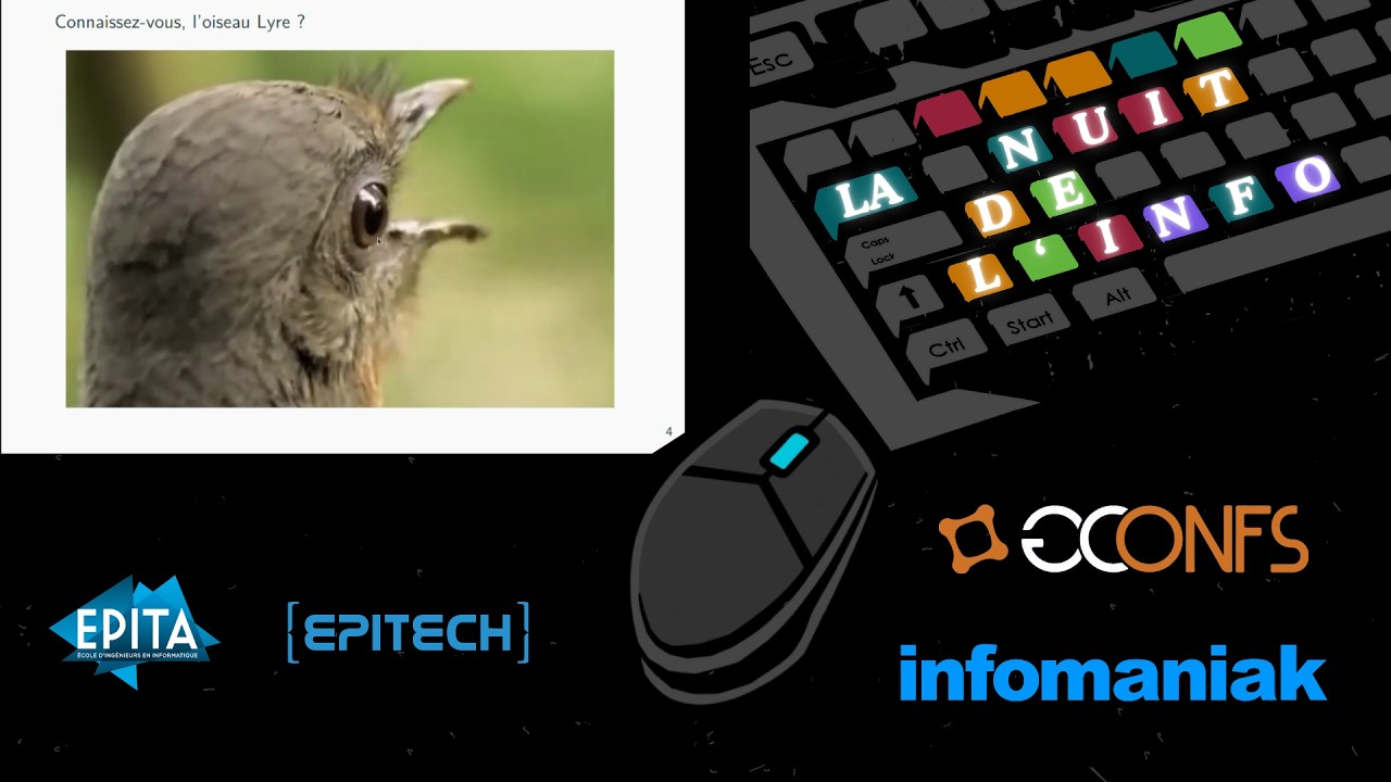Nuit de l'Info 2025 - Melwan, Julie et Igor : Comment transformer un oiseau en major de promo EPITA