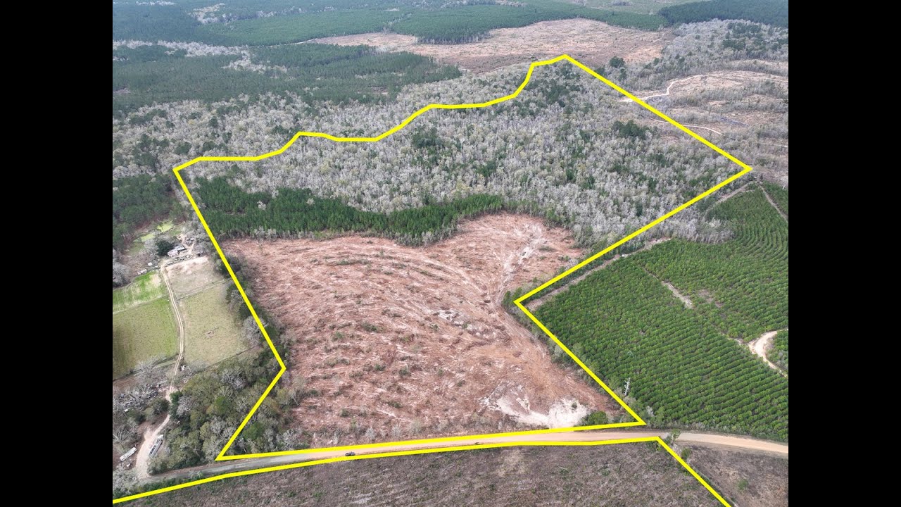 Various Tracts | CR 4590 | Tyler Co., Texas