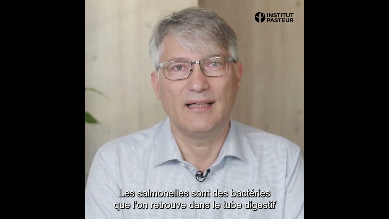 🦠🔍Qu'est-ce que la salmonellose ?