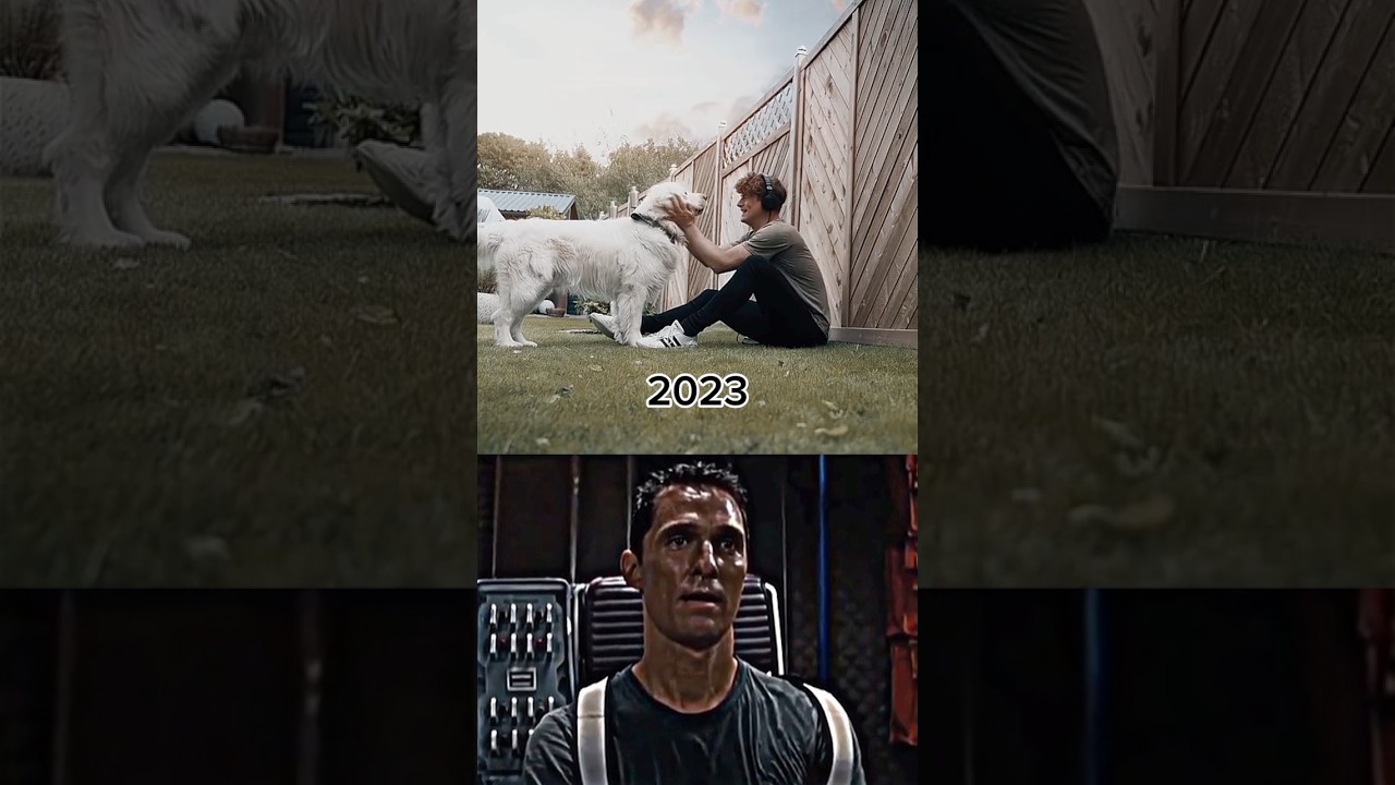 Dog Sad Moments ❤️&zwj;🩹💔🫤 #shorts