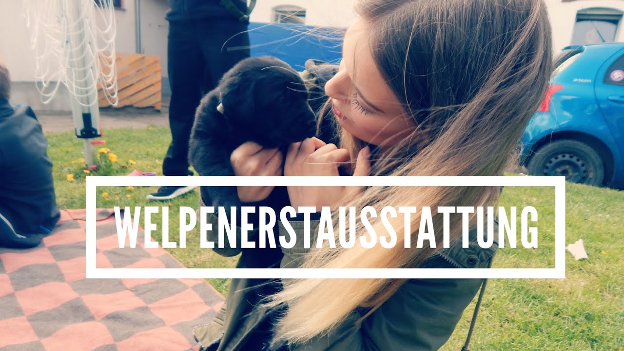 Welpenerstausstattung | Fressnapfhaul und unboxing🐶
