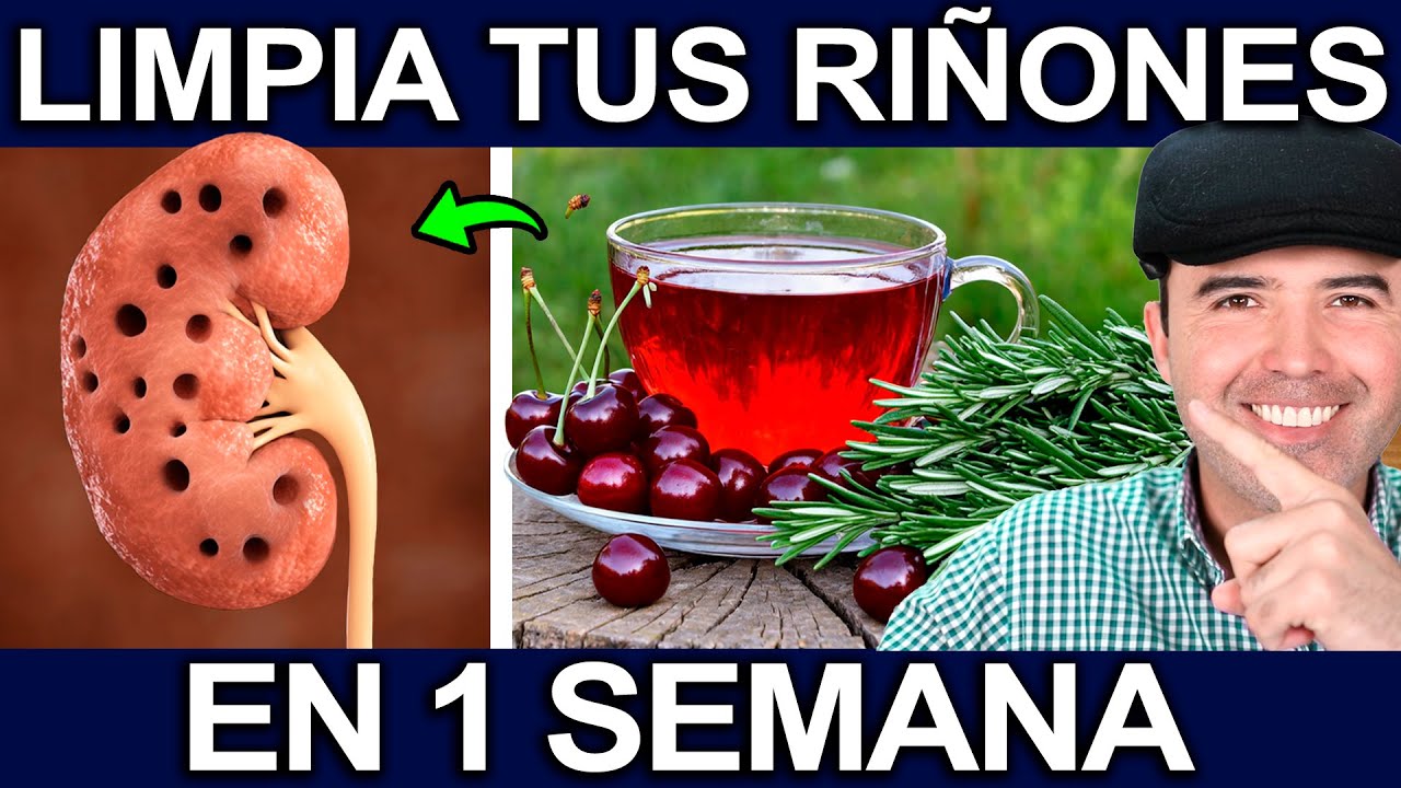 TE ENFERMARAS SI NO DESINTOXICAS TUS RI&Ntilde;ONES! - Como Hacer Una Limpieza Renal Paso a Paso