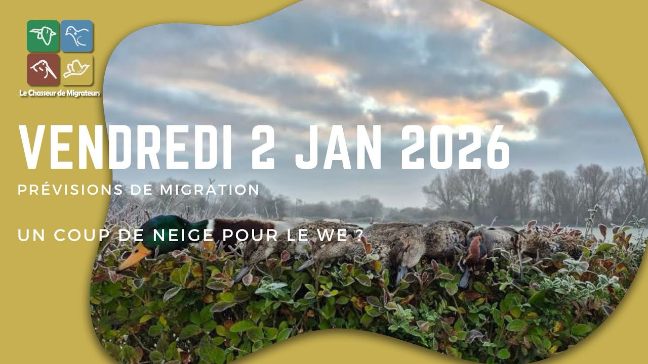 Prévisions du 2 janvier 2026 - un coup de. Neige pour le WE ?