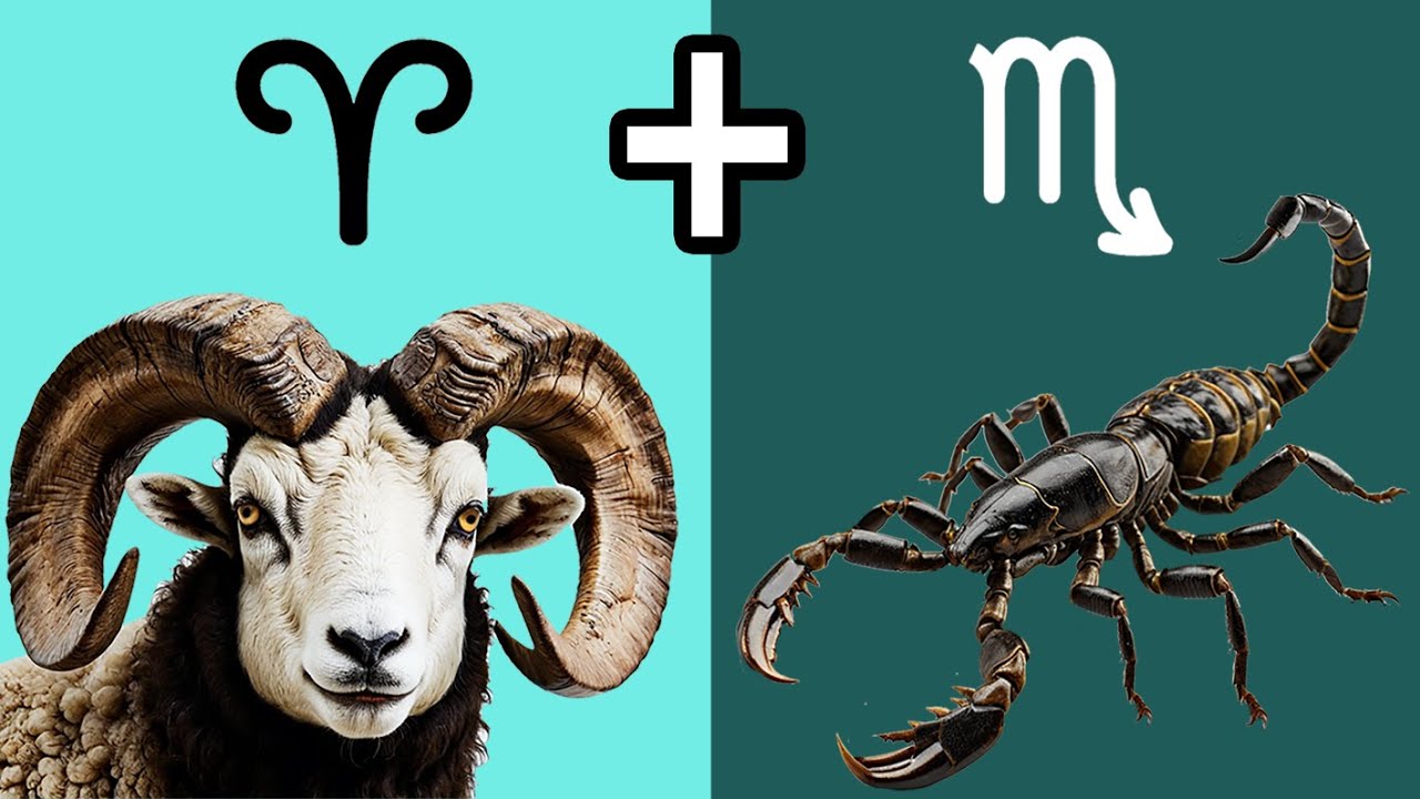 COMPATIBILIDAD ESCORPIO y ARIES: La Pasión encuentra la Determinación