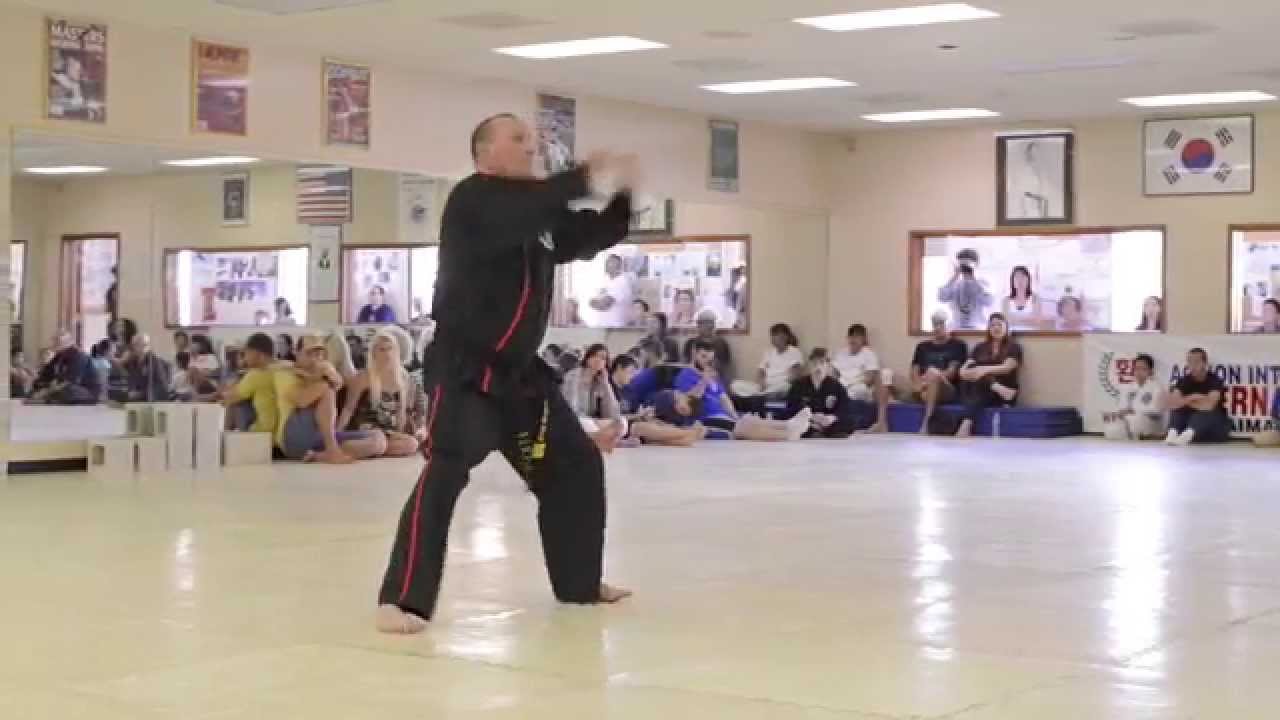 AIMAA 2015 Intl. Black Belt Testing - 06