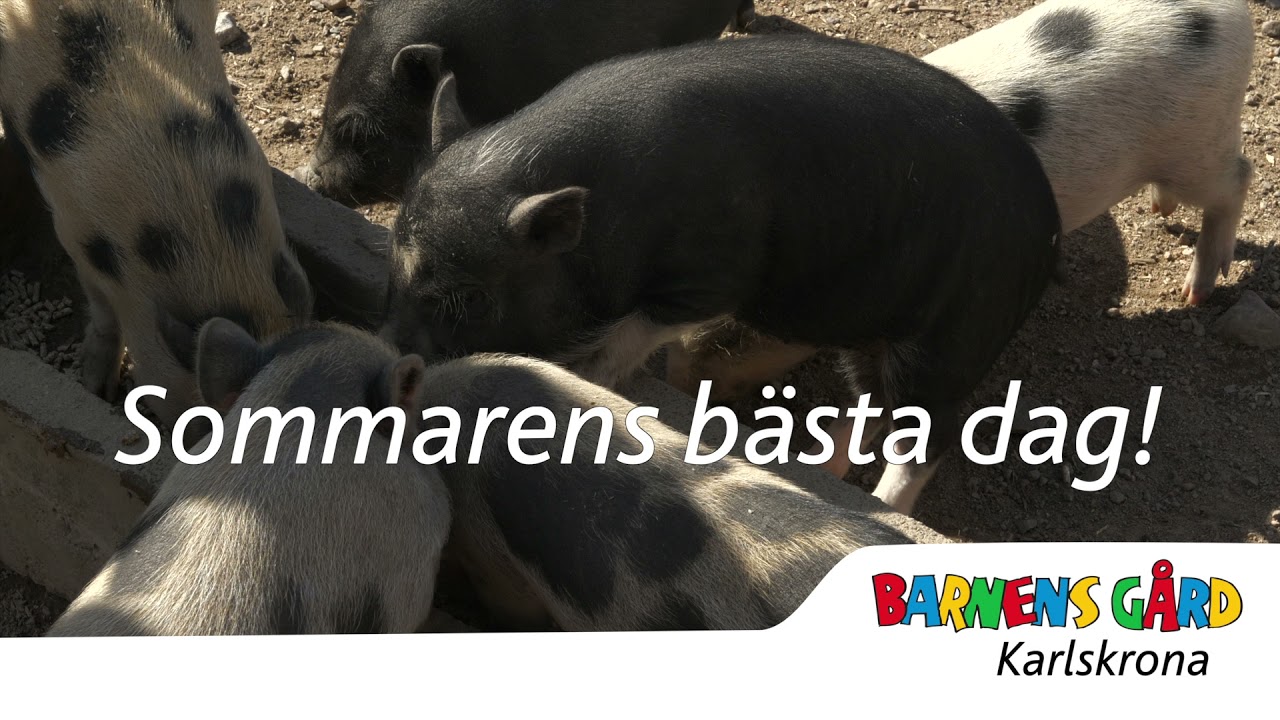 V&auml;lkommen till Barnens G&aring;rd, Karlskrona