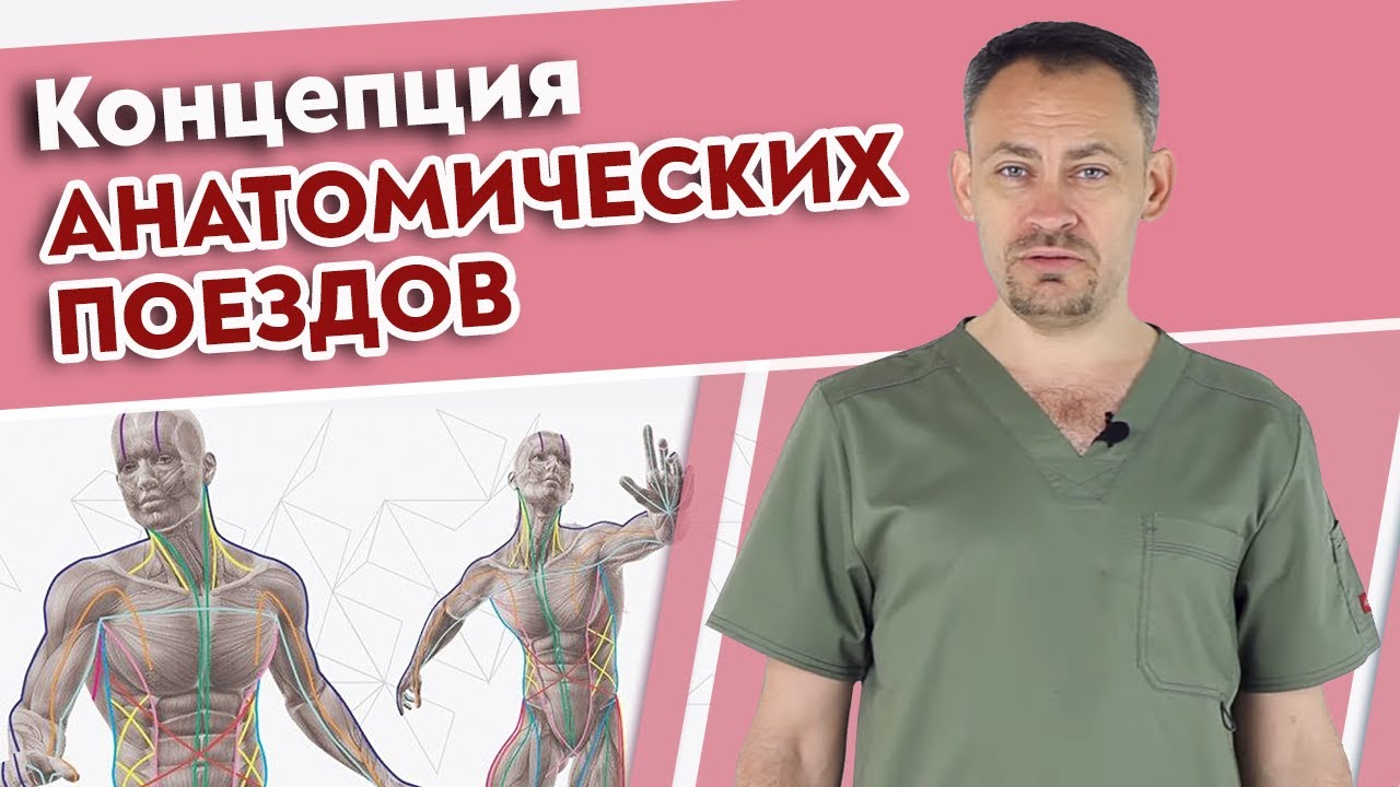 Самая важная книга для массажиста! / Томас Майерс Анатомические поезда