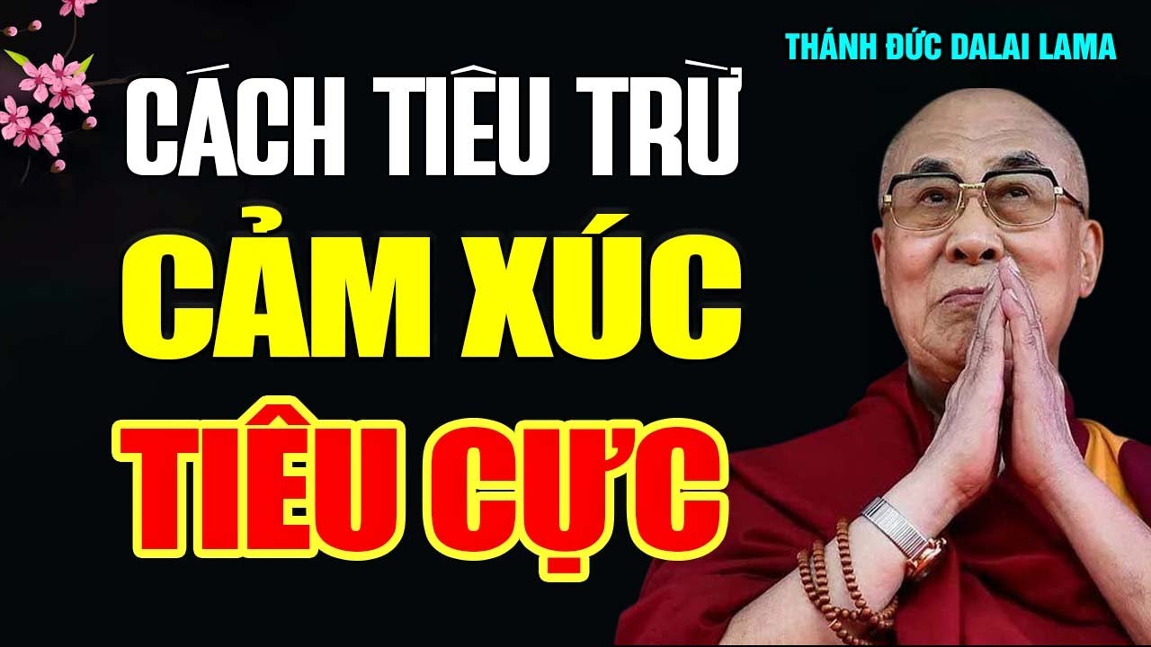 CÁCH TIÊU TRỪ CẢM XÚC TIÊU CỰC_Thánh Đức Đạt Lai Lạt Ma khai thị.