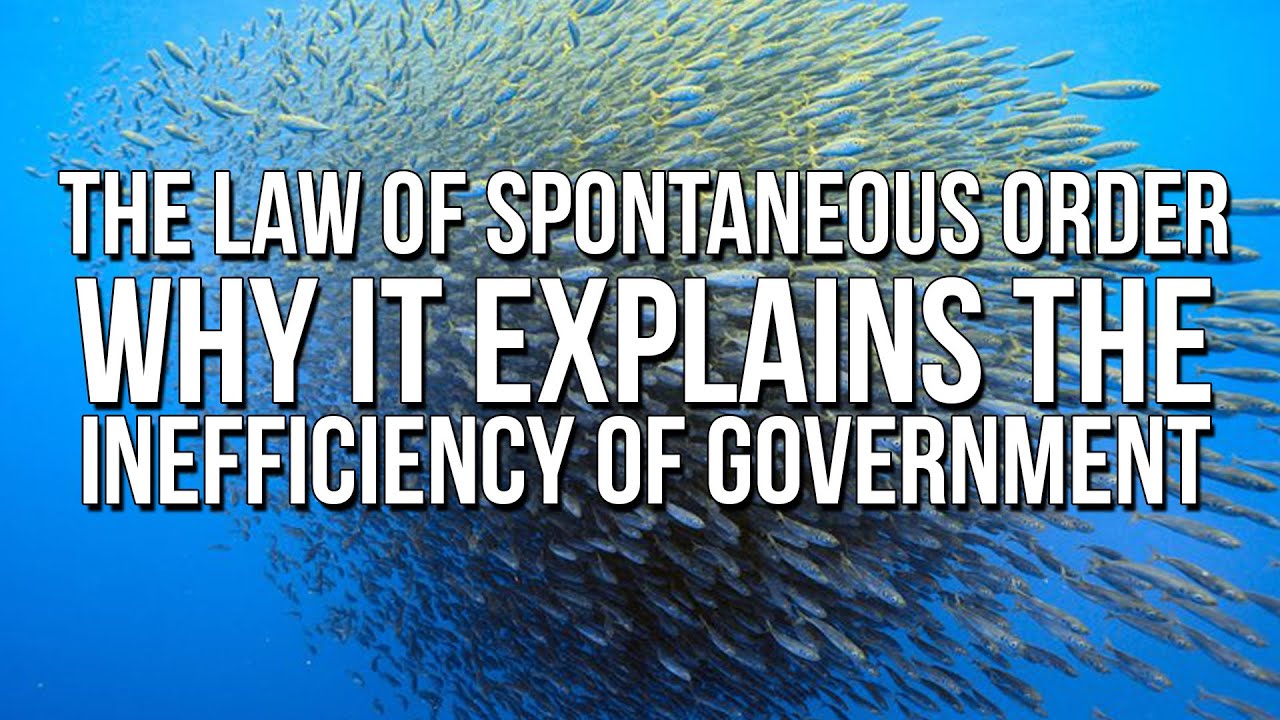 The Inefficiency of Government Explained - The Law of Spontaneous Order
