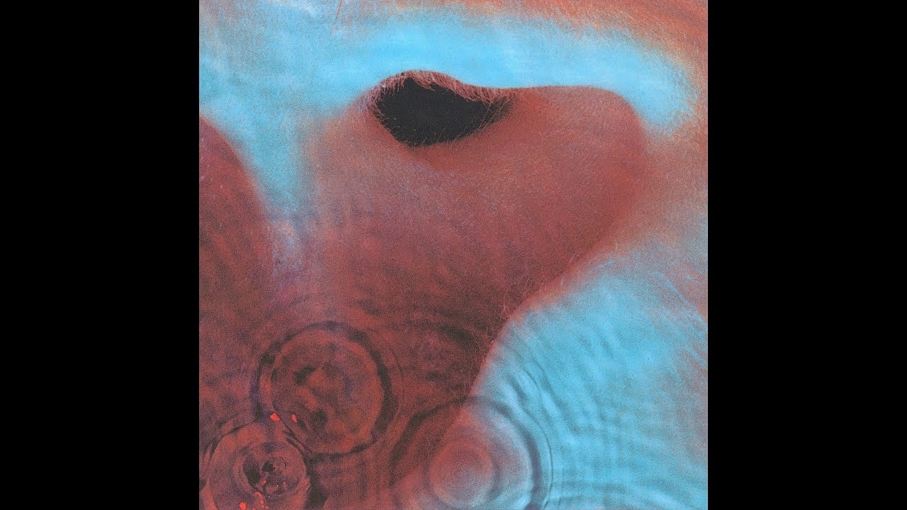 Meddle
