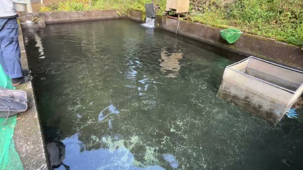 20251108飼育管理