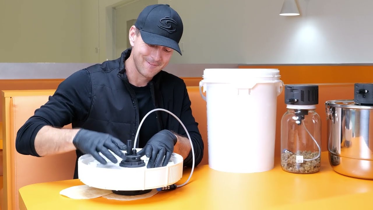 Mastering Cannabis Curing: The Cure Puck & Tortilla Practice Method