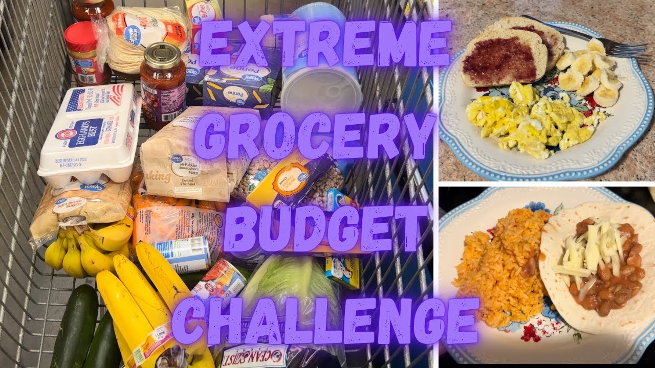 FEED A FAMILY OF 4 FOR $60 A WEEK // EXTREME GROCERY BUDGET CHALLENGE // 