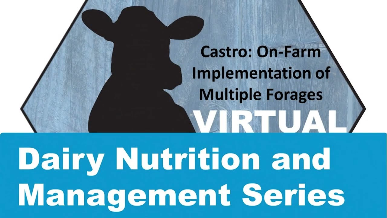 Castro - Implementing Multiple Forages in Whole-farm Nutrition