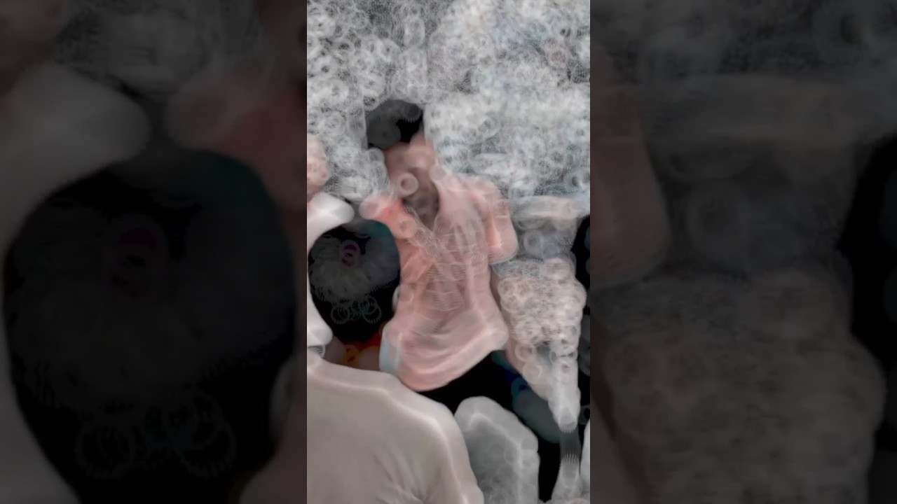 Police understand 👿 || fight 😡 action video || Sagar Bhai #elvishyadav #abusalim #rohitsharma#short